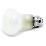 Elinchrom Modelling - Lampada per EL250/250C Testa 100w E27 [EL23002]