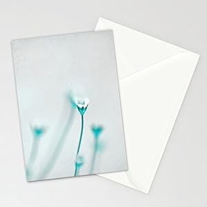 Design Fotokunst Postkarte Claudia Drossert