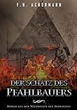 Der Schatz des Pfahlbauers: Roman aus den Wildnissen der Bronzezeit by