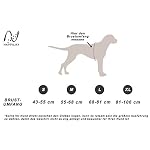 Pettorina-per-cani-di-piccola-e-media-taglia-Imbracatura-cane-riflettente-e-regolabile-in-4-taglie-S-M-L-XL-di-Happilax
