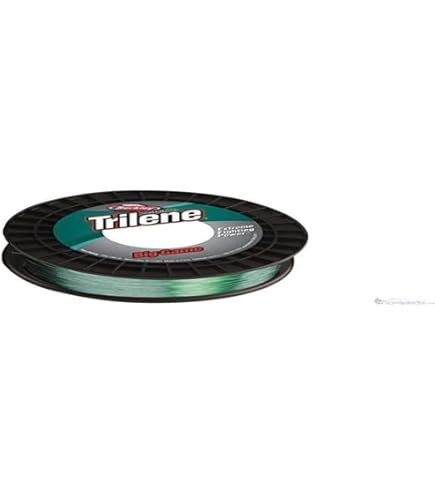 Pure Fishing Penn Tidal XT 8000 Moulinet à lancer (1594965