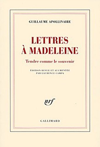 couverture de : Lettres &agrave; madeleine