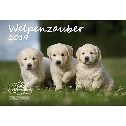 Download Chiot magique – DIN A4 – Premium Calendrier 2019 – Chien – Chiot – Animaux – Coffret Cadeau avec 1 carte de vœux et 1 Carte de Noël – Edition âme magique