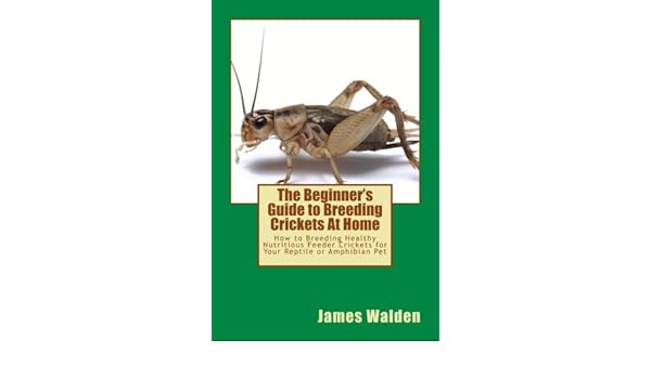 Buy The Beginner S Guide To Breeding Crickets At Home How To