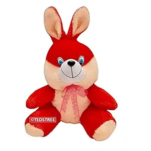 TEDSTREE Cute Stuffed Soft Toy for Kids Lovable Huggable Perfect Present for Birthday, Babies & Children Rabbit Soft Toys (35 cm, Red)