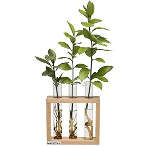 Labzio Home - Flower vase with 3 Hand Blown Borosilicate Glass Test Tubes in an Elegant Wooden Stand