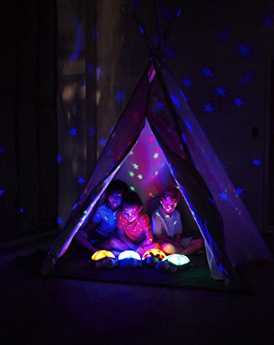 Cloud b 7323-BL Twilight Turtle, blau - 4