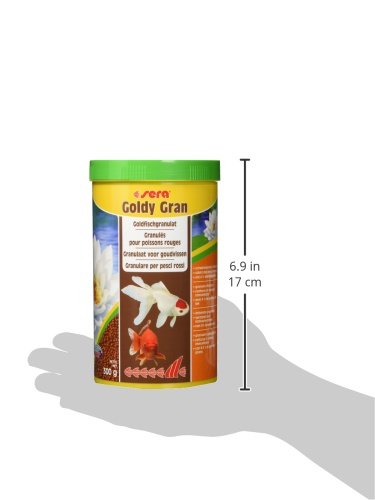 sera 00872 goldy gran 1000 ml – Granulatfutter für größere Goldfische und andere Kaltwasserfische - 5