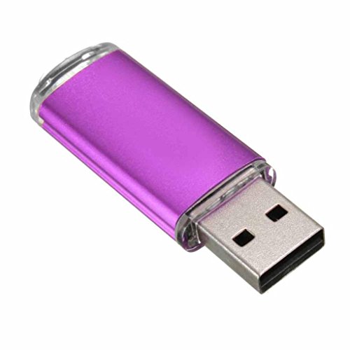 FEITONG 1GB USB 2.0 Metall Flash Memory Stick Speicher Thumb U Festplatte (Lila) - 3