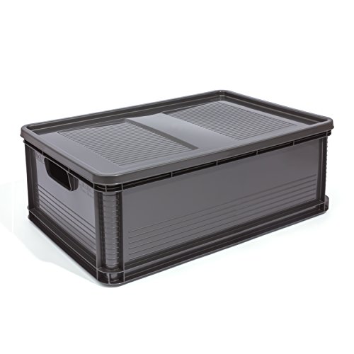 45 Liter Lagerkiste Euro Box Stapelbox Transportbox mit Deckel geschlossene Obstbox Gewerbekiste Lager