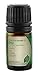 Produktbild Naissance Dill (Anethum graveolens) 10ml 100% naturreines ätherisches Öl