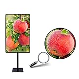 televisores en promocion flamingo - pantalla 1080p HD Xue Universal TV Cart, TV Stand para 32 - 55 Pulgadas LCD LED tvsdisplay Card Stand-Alone Publicidad Máquina Mall promoción, casa, Oficina, Dormitorio Aula Meeting