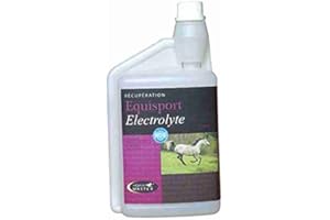 Horsemaster - Equisport Electrolyte