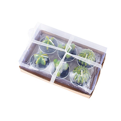 Lot-de-6-Cactus-Bougies-en-Paraffine-et-3-Formes-avec-Support-de-Bougie-Bougies-Chauffe-Plat-pour-Nol-Fte-Mariage-ou-Deco-Maison2pcs-par-Chaque-Forme