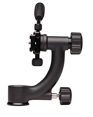 Preisvergleich Produktbild Benro Head Spezialstativkopf gh-1p