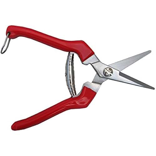 Suchergebnis auf Amazon.de für: japanische gartenschere: Baumarkt