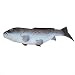 MagiDeal Artificial Realistic Freshwater Carp Imitation Model Toy Pretend Food Grey