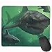 Produktbild Whecom Deep Sea Sharks Art Creatures Non-Slip Unique Designs Gaming Gaming Mauspad Black Cloth Rectangle Mousepad Art Natural Rubber Mouse Mat with Stitched Edges 9.8x11.8 Inch
