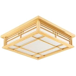 Amazon.es: lamparas japonesas techo