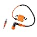 Produktbild MagiDeal Zündspule mit 3-Elektrode Zündkerze CG 125 150 200 ATV Dirtbike, Spark Plug Model: D8TJC, FIT D8TC BGK D8EA D8RTC