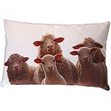 Schafkissen, Kissenbezug, Baumwolle, 40x60cm