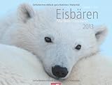 Eisbären 2013 by 
