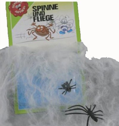 Preisvergleich Produktbild Spinne und Fliege im Netz