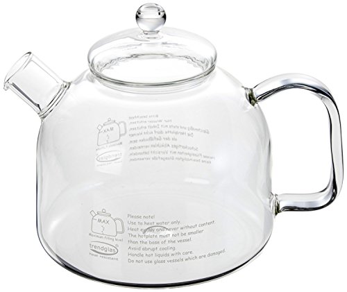 spécification Trendglas Jena Bouilloire en verre borosilicate 1,75 l