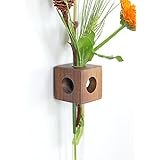 Fenstervase Nuss Blumenvase test tube vase