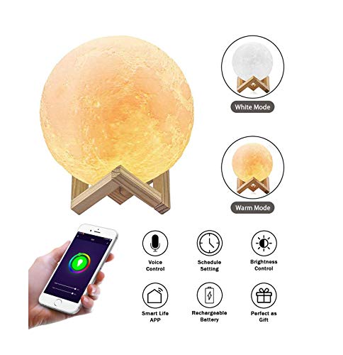 3D Lampada luna,BRTLX Intelligente Luce Lunare Notturna a LED con supporto in legno e Timer,Ricarica USB Dimmerabile,15cm/5.9inch Diametro Compatibile con Alexa e Google Home