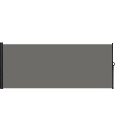 Froadp Store Latéral Extensible 100x300cm Anthracite - Auvents De Véranda Extérieur Rétractable, Paravent Brise-Vue Polyester Résistant Pour Patio, Balcon Et Terrasse