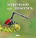 Surprenants insectes by