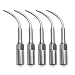 Produktbild ILS - 5 Stücke Dental Ultraschall Piezo Scaler Skalierung Spitze G4 Für EMS Specht Handstück