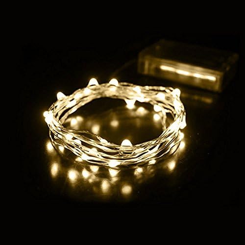 (2 Pack) Lyhoon 16.4FT (5m) 50 LEDs Battery Operated LED String Lights Flexible Silver Wire Fairy Lights (Warm White)