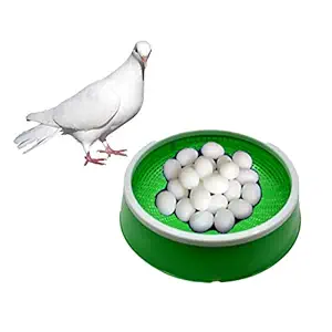 TAIYO PLUSS DISCOVERY? Pigeon Egg Bowl, Size: (24X6.5 cm) (LXH), Pigeon Breeding Nest Bowl for Hatching Eggs, Suitable for Pigeon (Color: Green)