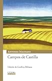Campos de Castilla (Mil Letras) by Antonio Machado