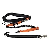 PRAKTISCHES STAURAUMWUNDER: Der Hüftgurt bietet dir 2 integrierte Taschen in denen Handy, Schlüssel, Geld, Leckerlies uvm. leicht verstaut werden können. Durch den intergirierten Kopfhörerausgang kannst du auch unterwegs beim Joggen oder Spaziergang deiner Lieblingsmusik lauschen. Außerdem können an einem zusätzlichen Metallring weitere Leine oder Zubehör befestigt werden.