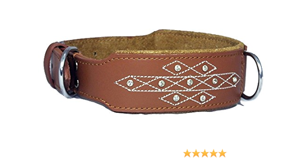 staffy collars amazon