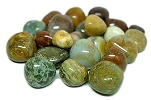 Ourique Fancy Deocrative Stones and Pebbles for Home/Table Decor - Pebbles for Decoration - Pebbles for Plants Pots, Fish Tank Aquarium, Fountain (900 Grams)