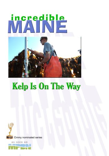 Preisvergleich Produktbild IM 706 Kelp Is On The Way