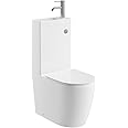Go Bathrooms 2 in 1 Toilet & Sink Includes Chrome Cistern Button & Soft Close Toilet Seat Two Piece Ceramic Rimless Toilet & Basin Space Saver