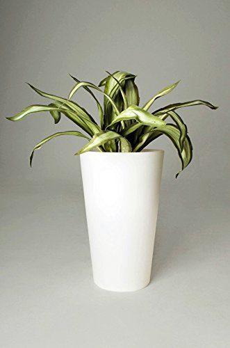 Pflanzkübel „Rondo Classico“ aus Kunststoff beleuchtet, 70 cm, Weiß - 5