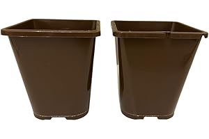 London Grocery 4x Biodegradable Plant Me All Pots – Peat-Free | Made From 100% Sugar Cane – Eco-Friendly, Herbs & Vegetables, and Flowers | 1 Litre