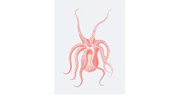 Wee Blue Coo Living Coral Octopus Upside Down Art Print Canvas Premium Wall Decor Poster Amazon Co Uk Kitchen Home