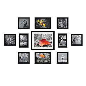 Amazon Brand - Solimo Collage Set of 11 Black Photo Frames ( 4 x 6 Inch - 2 & 5 X 5 Inch - 6, 5 X 7 inch - 2 & 8 X 10 inch - 1 )