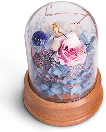 WEIQI flowers Preserved Fresh Flower Glass cover/a music cassette lamp and Bluetooth/Girlfriend's Birthday present/The best gift of Christmas, grass green