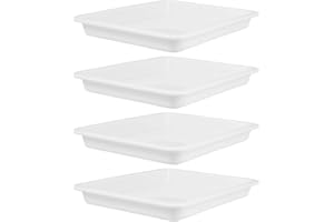 Amosfun 4pcs Laboratory Storage Tray Set, Acid and Alkali Resistant Chemical Experiment Trays for Holding Samples, Teaching Supplies -24 * 18cm