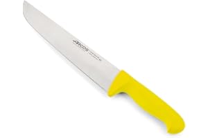 Arcos Coltello da Macellaio con Lama in Acciaio Inossidabile 250 mm – Coltello da Cucina Professionale per Tagliare Carne, Pesce e Verdure – Manico Ergonomico in Poliossimetilene, Giallo, Serie 2900
