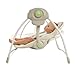 Bright Starts Cozy Kingdom Portable Swing
