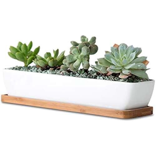 Amazon.co.uk rectangle plant pot saucers